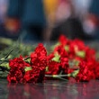 В День памяти и скорби к Братской могиле возложили цветы
