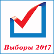 Выборы 2017