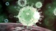 Как защититься от коронавируса 2019-nCoV 