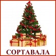 «Сортавала - Новогодняя столица России»